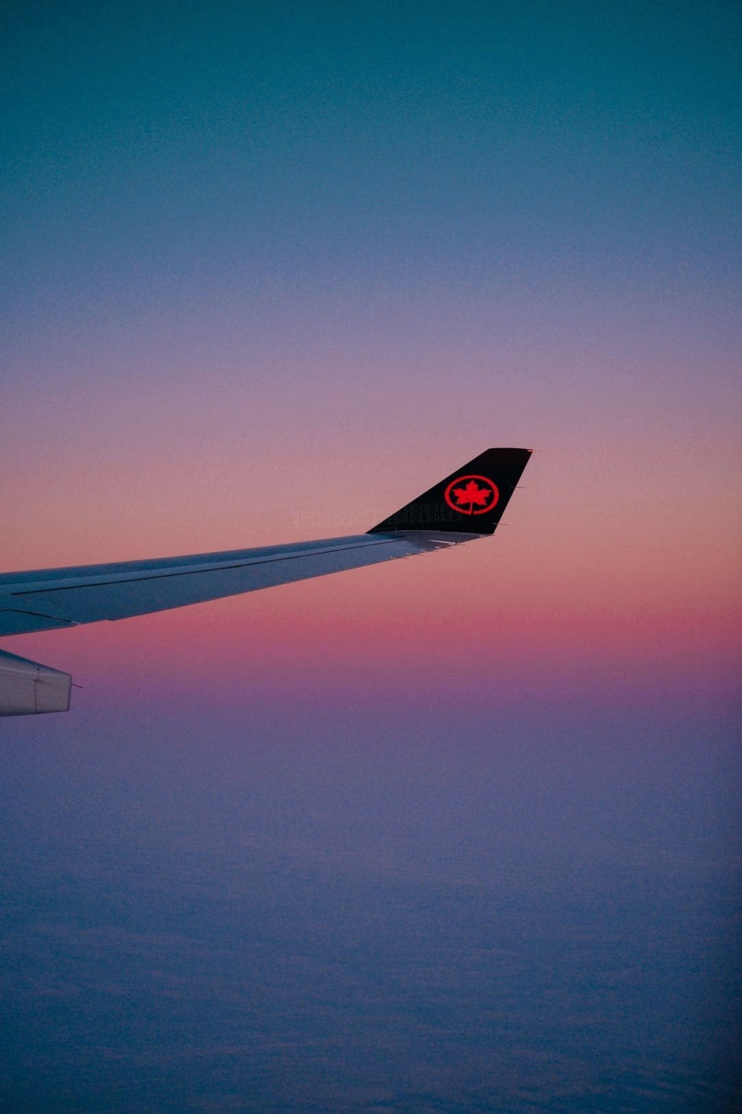さくらトラベルジャパン 7